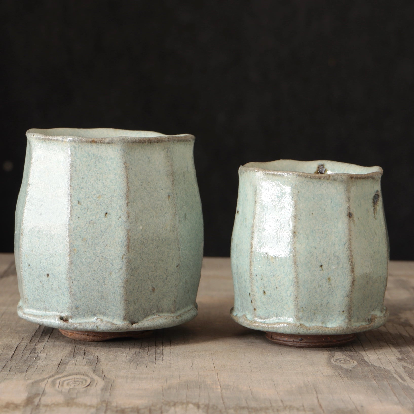 Wild Clay and Glaze Teacup White Ash Glaze